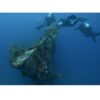 PADI Wreck Diver - Image 4