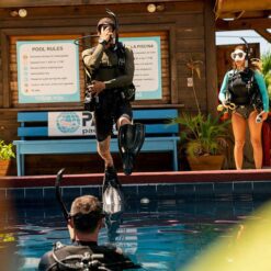 PADI Open Water Diver eLearning - Online Theory