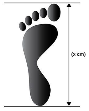 How To Measure Foot