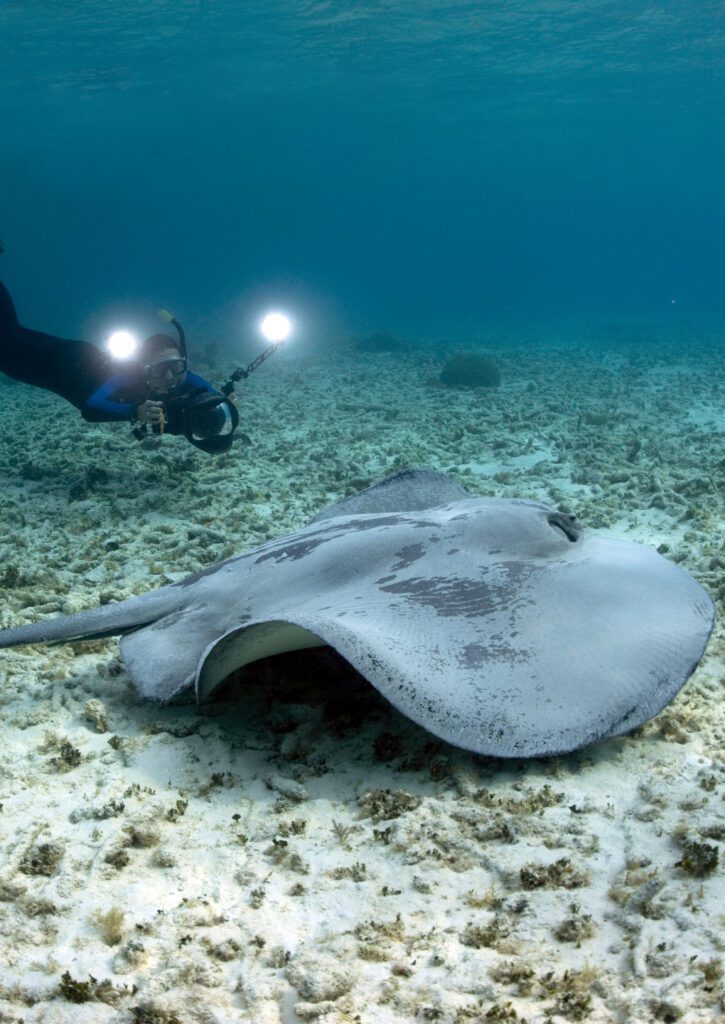 Underwater photographer using lights mounted on camera arms