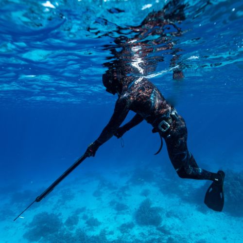 Spearfisher using a speargun beneath the sea surface