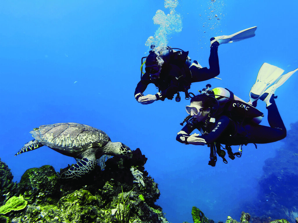 Scuba divers finning beside a turtle on a reef
