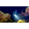 Diver doing a night dive with a flashlight — official PADI Advanced Open Water Diver course image