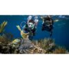 Two divers inspecting a lion fish next to a coral — official PADI Advanced Open Water Diver course image