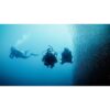 Divers next to a school of sardines — official PADI Deep Diver course image