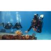 Dive professional guiding a group underwater — official PADI Divemaster course photograph