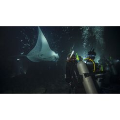 Scuba divers observe a large manta ray gliding through the dark ocean during a night dive — official PADI Night Diver course image