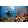 Divers swimming beside coral — official PADI Open Water Diver course photograph