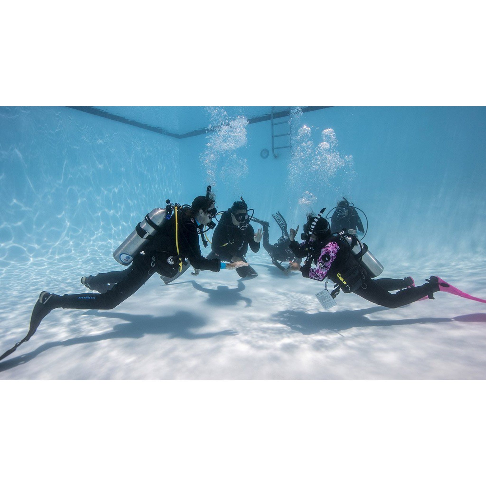 Group of divers practicing in a pool — official PADI ReActivate Scuba Refresher Program course image