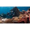 Technical divers with twin cylinders beside a reef — official PADI Tec 40 course photograph