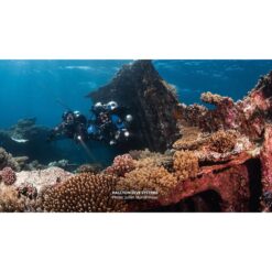 Technical divers with twin cylinders beside a reef — official PADI Tec 40 course photograph